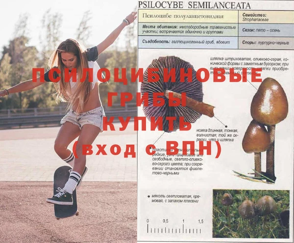 ECSTASY Белокуриха
