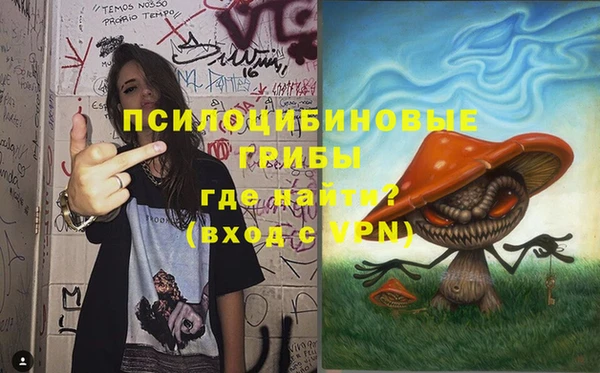 мяу мяу мука Баксан